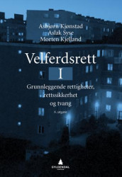Velferdsrett I av Morten Kjelland, Asbjørn Kjønstad og Aslak Syse (Ebok)