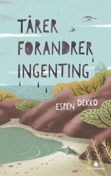 Tårer forandrer ingenting av Espen Dekko (Innbundet)