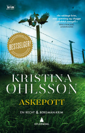 Askepott av Kristina Ohlsson (Heftet)