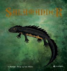 Salamander av Synnøve Borge (Ebok)