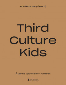 Third culture kids av Aon Raza Naqvi (Innbundet)