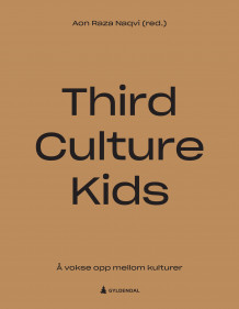 Third culture kids av Aon Raza Naqvi (Innbundet)