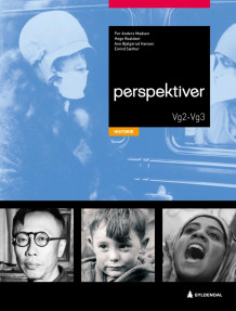 Perspektiver av Per Anders Madsen, Hege Roaldset, Inger Hilde Killerud og Eivind Sæther (Heftet)