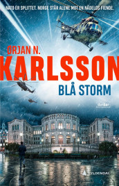 Blå storm av Ørjan N. Karlsson (Innbundet)