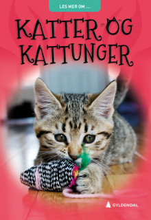 Katter og kattunger av Sarah Snashall (Innbundet)