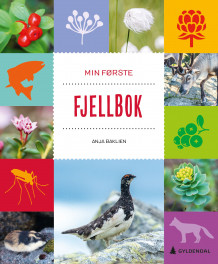 Min første fjellbok av Anja Baklien (Innbundet)