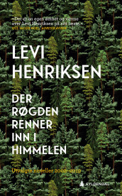 Der Røgden renner inn i himmelen av Levi Henriksen (Ebok)