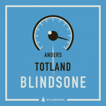 Blindsone av Anders Totland (Nedlastbar lydbok)