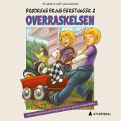 Overraskelsen av Bjørn Ingvaldsen (Nedlastbar lydbok)