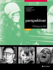 Perspektiver av Ane Bjølgerud Hansen, Per Anders Madsen, Hege Roaldset og Eivind Sæther (Heftet)