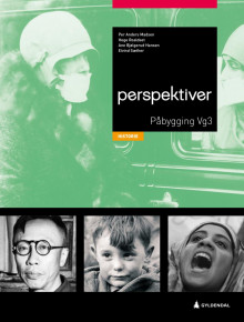 Perspektiver av Per Anders Madsen, Inger Hilde Killerud, Hege Roaldset, Eivind Sæther og Ane Bjølgerud Hansen (Heftet)