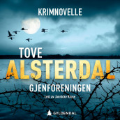 Gjenforeningen av Tove Alsterdal (Nedlastbar lydbok)