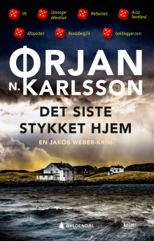 Det siste stykket hjem av Ørjan N. Karlsson (Innbundet)