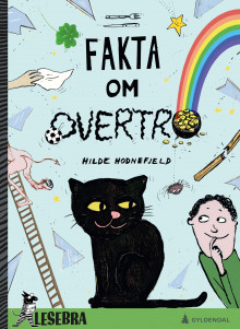 Fakta om overtro av Hilde Hodnefjeld (Innbundet)