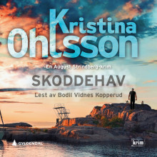 Skoddehav av Kristina Ohlsson (Nedlastbar lydbok)