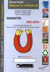 Magneten = Birlapta av Aysegül Leblebicioglu, Ibrahim Leblebicioglu og Melike Leblebicioglu (Heftet)