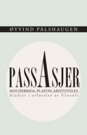 Passasjer av Øyvind Pålshaugen (Heftet)