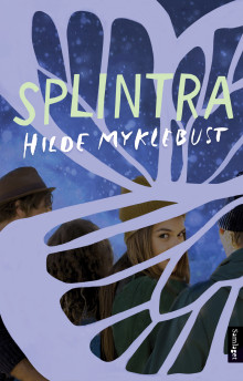 Splintra av Hilde Myklebust (Ebok)