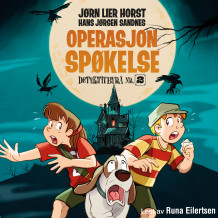 Operasjon Spøkelse av Jørn Lier Horst (Nedlastbar lydbok)