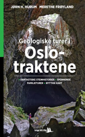 Geologiske turer i Oslo-traktene av Merethe Frøyland og Jørn H. Hurum (Heftet)