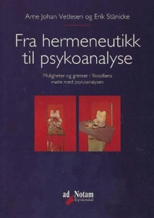 Fra hermeneutikk til psykoanalyse av Arne Johan Vetlesen og Erik Stänicke (Heftet)