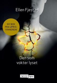 Den som vokter lyset av Ellen Fjestad (Innbundet)