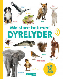 Min store bok med dyrelyder (Innbundet)