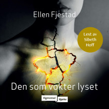 Den som vokter lyset av Ellen Fjestad (Nedlastbar lydbok)