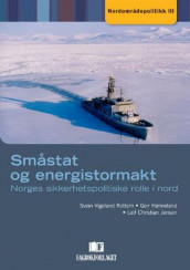 Småstat og energistormakt av Geir Hønneland, Leif Christian Jensen og Svein Vigeland Rottem (Heftet)