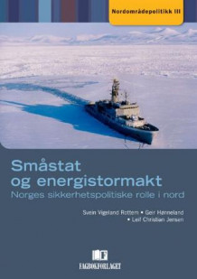 Småstat og energistormakt av Svein Vigeland Rottem, Geir Hønneland og Leif Christian Jensen (Heftet)