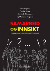 Samarbeid og innsikt av Berit Bergheim, Cecilie Basberg Neumann, Marianne Rugkåsa og Pernille Stornæss Skotte (Heftet)