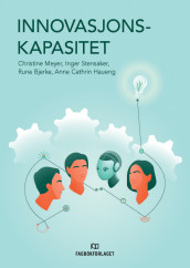 Innovasjonskapasitet av Rune Bjerke, Anne Cathrin Haueng, Christine B. Meyer og Inger G. Stensaker (Ebok)