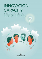 Innovation capacity av Rune Bjerke, Anne Cathrin Haueng, Christine B. Meyer og Inger G. Stensaker (Heftet)