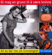 Gi meg en grunn til å være kvinne av Birgit Semb Christophersen, Kristin Johansen og Tinken Laurantzon (Innbundet)