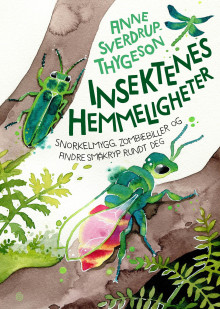 Insektenes hemmeligheter av Anne Sverdrup-Thygeson (Innbundet)