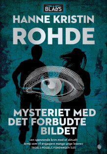 Mysteriet med det forbudte bildet av Hanne Kristin Rohde (Heftet)