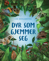 Dyr som gjemmer seg av Line Renslebråten (Innbundet)