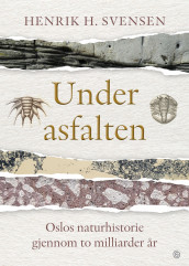 Under asfalten av Henrik H. Svensen (Innbundet)