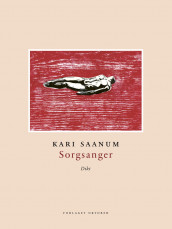 Sorgsanger av Kari Saanum (Ebok)