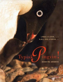 Typisk pingvin! av Linda Lillevik (Innbundet)
