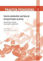 Praktisk pedagogikk 1 av May Britt Postholm (Heftet)