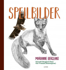 Speilbilder av Marianne Bergland (Innbundet)