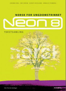 Neon 8 av Jorunn Aske, Siw Larsen, Kjersti Rossland og Arnhild Stenberg (Innbundet)
