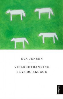 Vidareutdanning i lys og skugge av Eva Jensen (Innbundet)