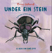 Under ein stein av Erna Osland (Innbundet)