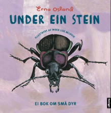 Under ein stein av Erna Osland (Innbundet)