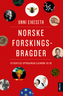 Norske forskingsbragder av Unni Eikeseth (Ebok)