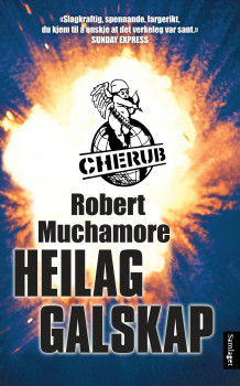 Heilag galskap av Robert Muchamore (Ebok)