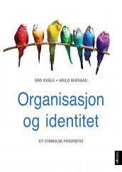 Organisasjon og identitet av Gro Kvåle og Arild Wæraas (Heftet)