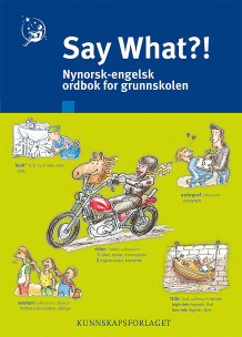 Say what?! av Vibecke C.D. Haslerud Steenfeldt-Foss (Innbundet)